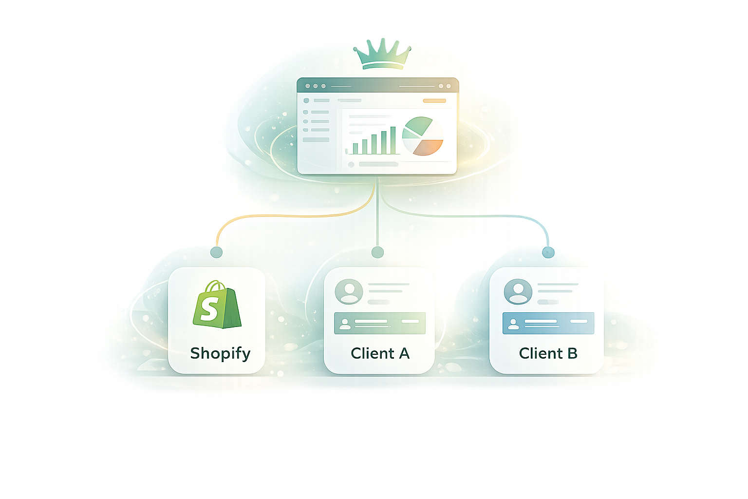 Robust Shopify Ecosystem